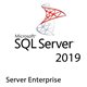 SQL Server Enterprise Core 2019 OLP 2Lic NL Gov Core License 7JQ-01624