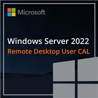 Windows Server 2022 Remote Desktop Servies CAL - 1 User CAL - DG7GMGF0D7HX0009