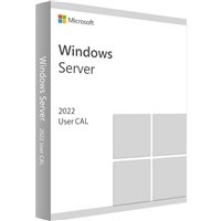 Windows Server CAL SAPack Perpetual License Gov User CAL R18-01633