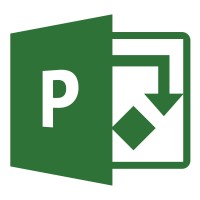 Microsoft Project Server CAL OLP NL Gov User CAL H21-03569