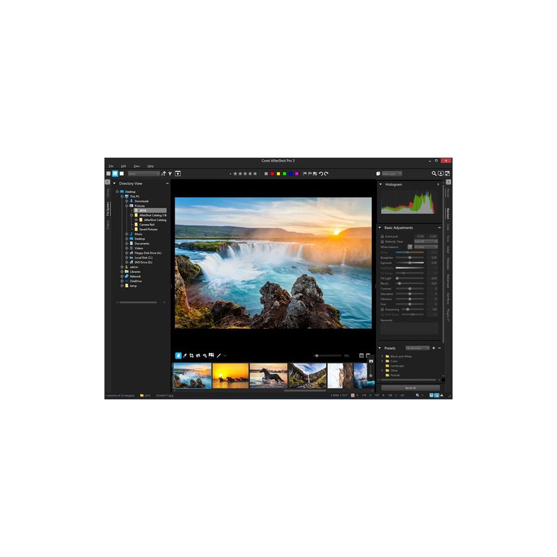 תוכנת Corel AfterShot Pro Upgrade LicenseElectronic Download | מחיר