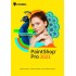 Corel PaintShop Pro 2023 Upgrade License - Electronic download